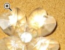Fiore di vetro - Anteprima immagine 1
