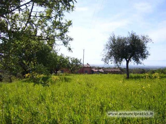 terreni offro in affitto per installazione antenne