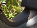 scooterone piaggio evolution anno 2003 vendo - Anteprima immagine 2