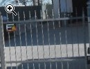cedo villa sita a Villanova di Forl locali 300 mq - Anteprima immagine 1