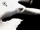 Dipinto Estasi - Anteprima immagine 1