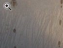 Serbatoi e cisterne in acciaio inox - Anteprima immagine 1