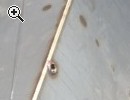 Serbatoi e cisterne in acciaio inox - Anteprima immagine 2