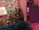 Camper Barbie - Anteprima immagine 2