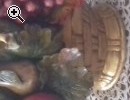 CENTROTAVOLA - Anteprima immagine 1