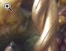 CENTROTAVOLA - Anteprima immagine 3