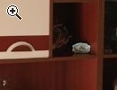 Tavolo 6 sedie e Parete attrezzata - Anteprima immagine 4