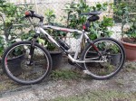 Mtb scout carbonio