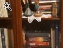 Mobile libreria con pareti e ante vetrate. - Anteprima immagine 2