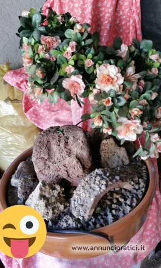 Bellissima fioriera