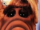 ALf telefilm anni 80 completo - Anteprima immagine 1