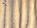 Pelliccia VOLPE-GRISS - Anteprima immagine 1