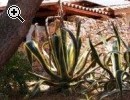 SARDEGNA MARE SCIVU -  VILLETTA E TERRENI COSTIERI - Anteprima immagine 2