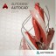 Autocad 2014 retail 32-64 bit-ITA