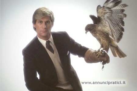 Manimal serie tv completa anni 80