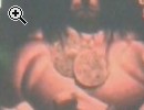 Conan il Barbaro n. 70 - Anteprima immagine 1